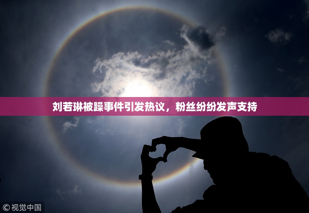 刘若琳被躁事件引发热议，粉丝纷纷发声支持
