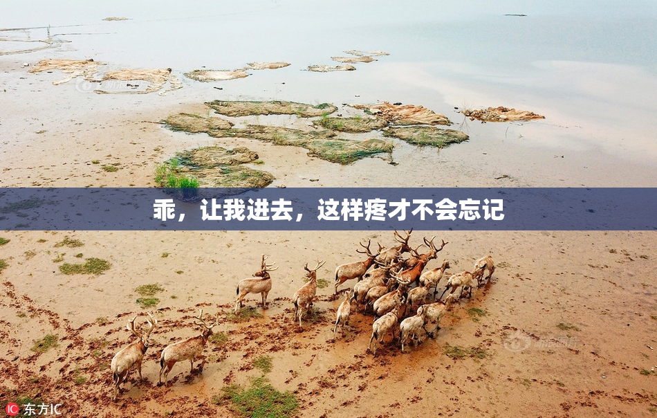 乖，让我进去，这样疼才不会忘记
