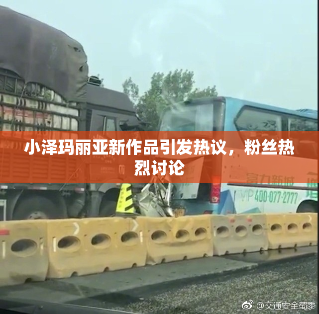 小泽玛丽亚新作品引发热议，粉丝热烈讨论