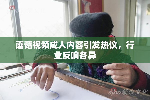 蘑菇视频成人内容引发热议，行业反响各异
