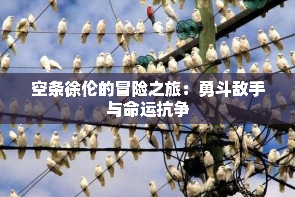 空条徐伦的冒险之旅：勇斗敌手与命运抗争