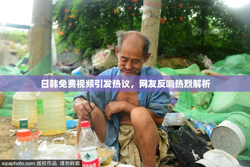 日韩免费视频引发热议，网友反响热烈解析