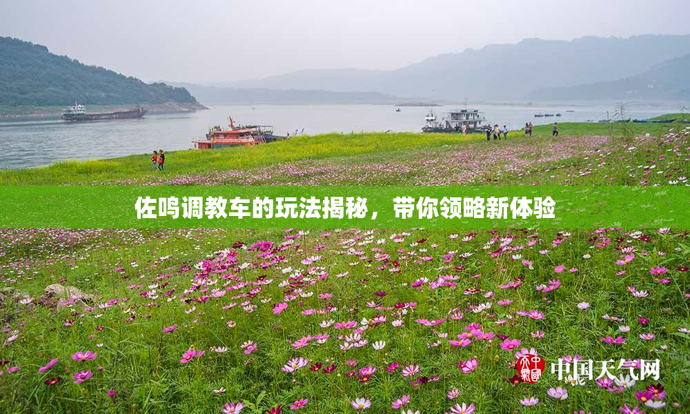 佐鸣调教车的玩法揭秘，带你领略新体验