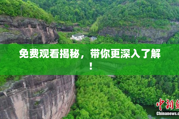 免费观看揭秘，带你更深入了解！