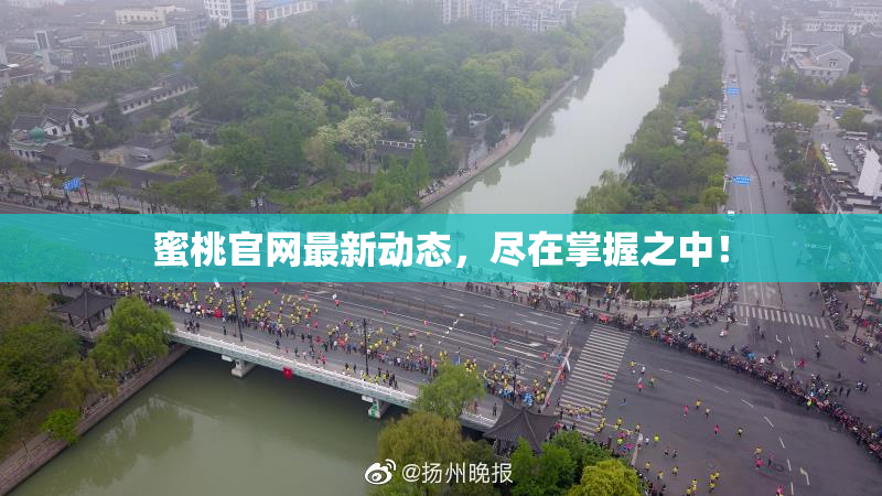 蜜桃官网最新动态，尽在掌握之中！