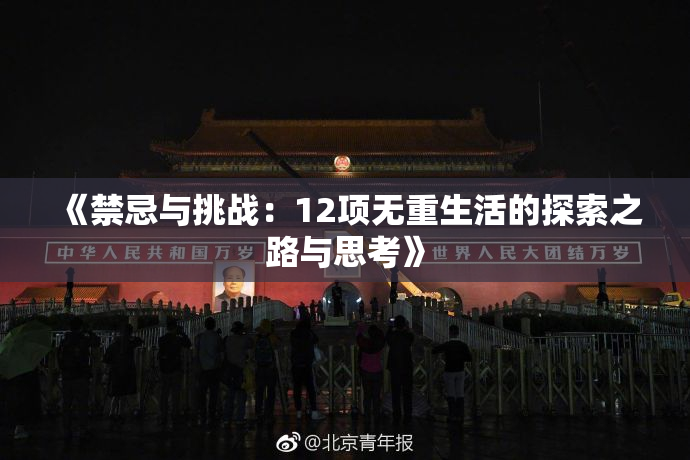 《禁忌与挑战：12项无重生活的探索之路与思考》
