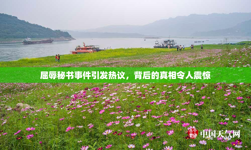 屈辱秘书事件引发热议，背后的真相令人震惊
