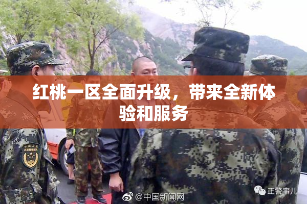 红桃一区全面升级，带来全新体验和服务