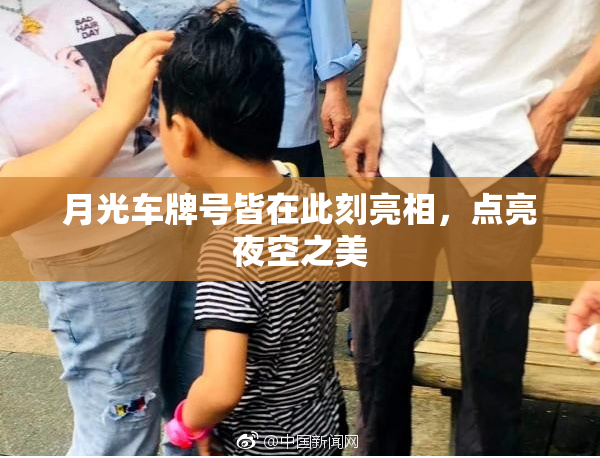 月光车牌号皆在此刻亮相，点亮夜空之美