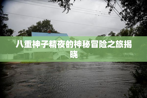 八重神子精夜的神秘冒险之旅揭晓