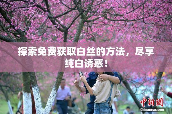 探索免费获取白丝的方法，尽享纯白诱惑！