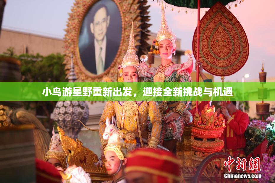 小鸟游星野重新出发，迎接全新挑战与机遇