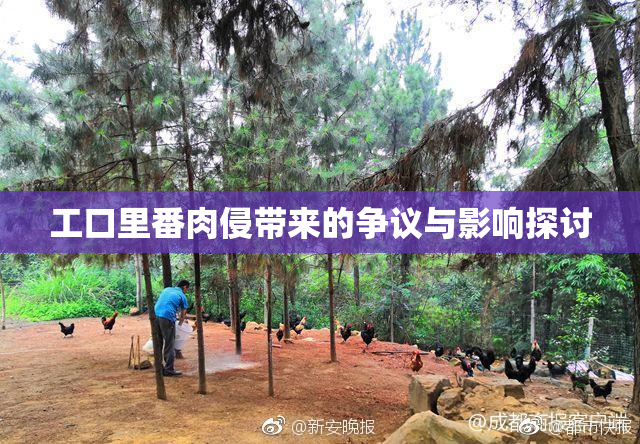 工口里番肉侵带来的争议与影响探讨