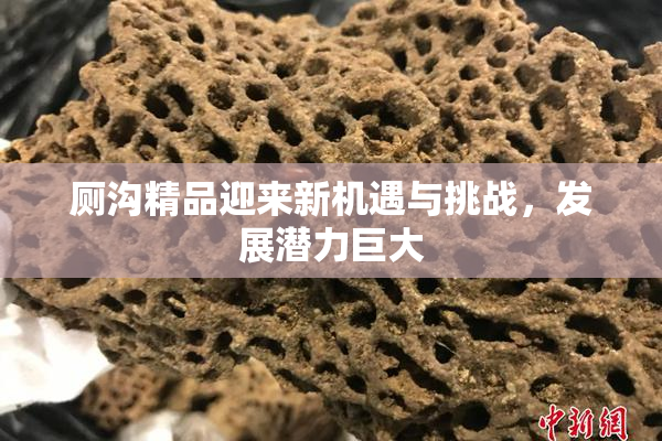 厕沟精品迎来新机遇与挑战，发展潜力巨大