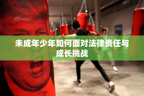 未成年少年如何面对法律责任与成长挑战