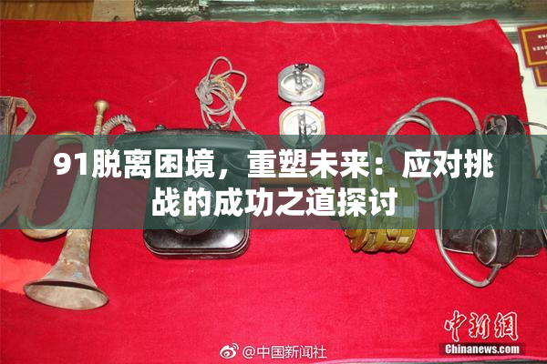 91脱离困境，重塑未来：应对挑战的成功之道探讨
