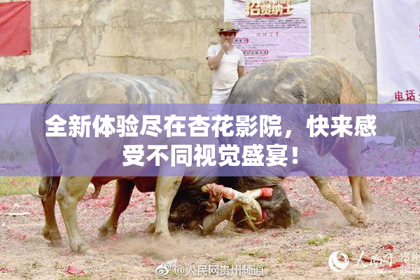 全新体验尽在杏花影院，快来感受不同视觉盛宴！