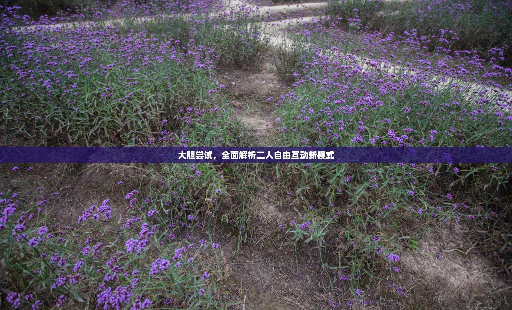 大胆尝试，全面解析二人自由互动新模式