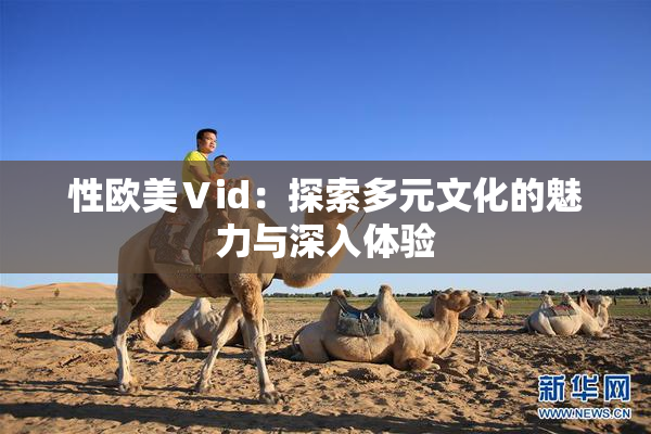 性欧美Ⅴid：探索多元文化的魅力与深入体验