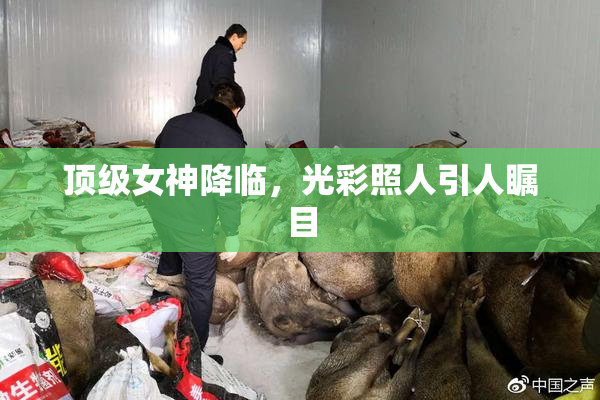 顶级女神降临，光彩照人引人瞩目