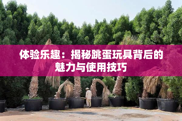 体验乐趣：揭秘跳蛋玩具背后的魅力与使用技巧