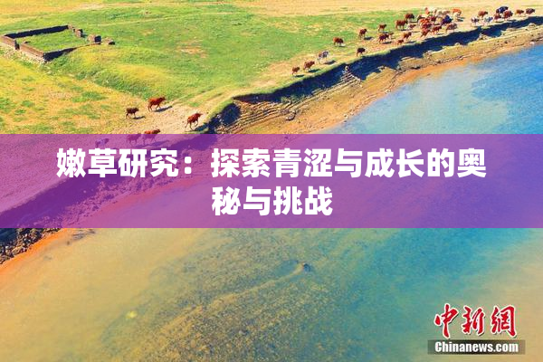 嫩草研究：探索青涩与成长的奥秘与挑战