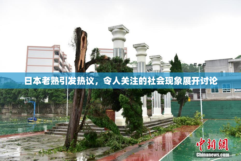日本老熟引发热议，令人关注的社会现象展开讨论