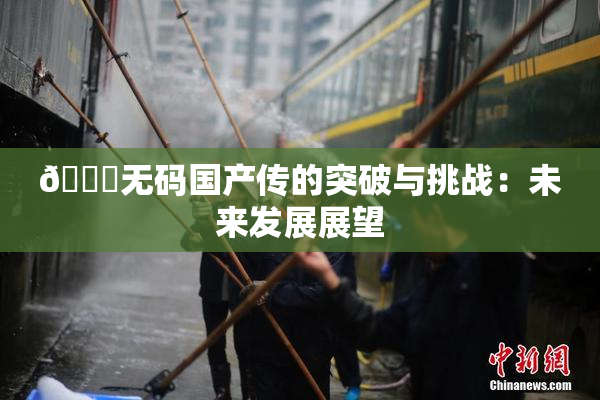 🔞无码国产传的突破与挑战：未来发展展望