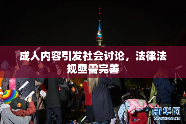 成人内容引发社会讨论，法律法规亟需完善