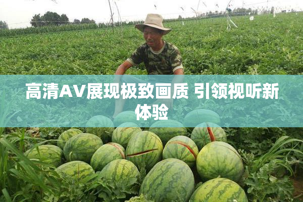 高清AV展现极致画质 引领视听新体验