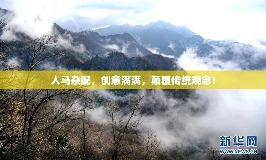 人马杂配，创意满满，颠覆传统观念！