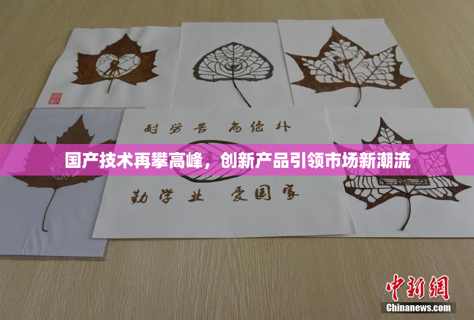 国产技术再攀高峰，创新产品引领市场新潮流
