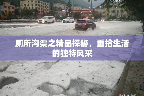 厕所沟渠之精品探秘，重拾生活的独特风采