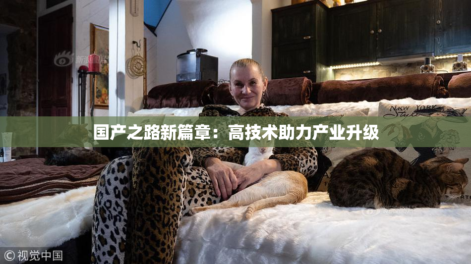 国产之路新篇章：高技术助力产业升级
