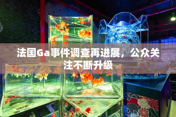 法国Ga事件调查再进展，公众关注不断升级