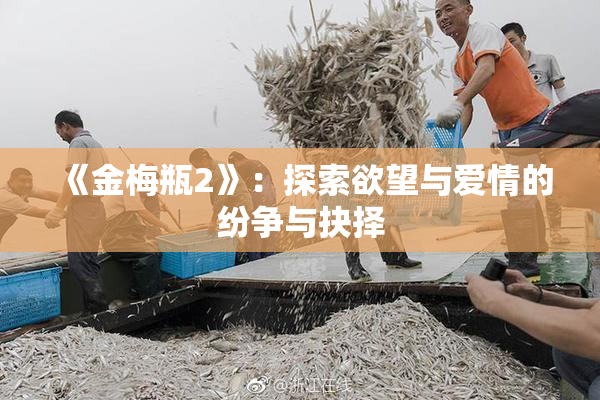 《金梅瓶2》：探索欲望与爱情的纷争与抉择