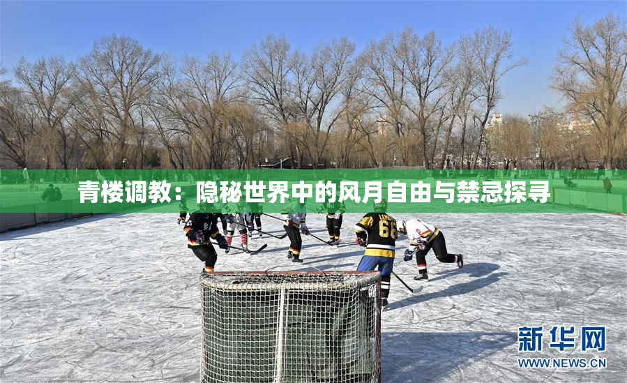 青楼调教：隐秘世界中的风月自由与禁忌探寻