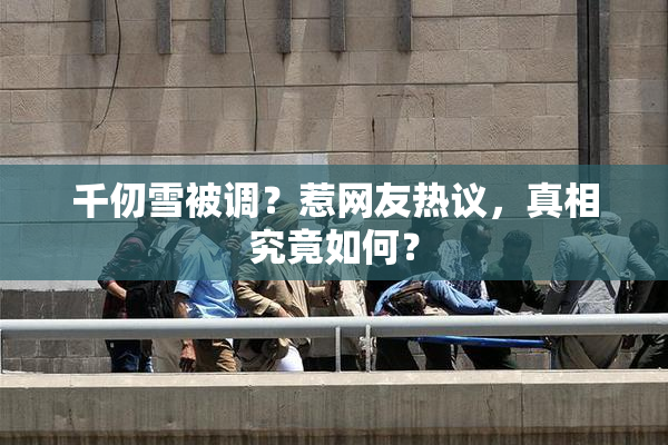 千仞雪被调？惹网友热议，真相究竟如何？