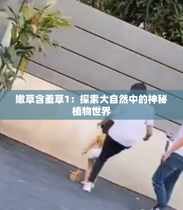 嫩草含羞草1：探索大自然中的神秘植物世界