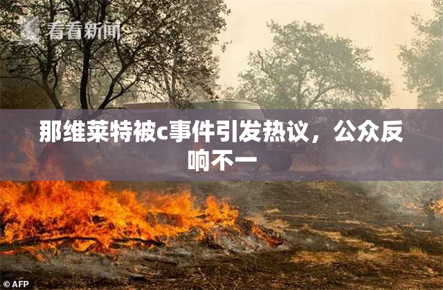 那维莱特被c事件引发热议，公众反响不一
