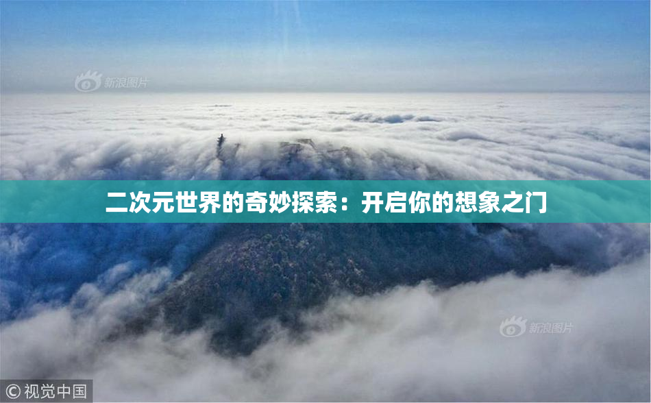 二次元世界的奇妙探索：开启你的想象之门
