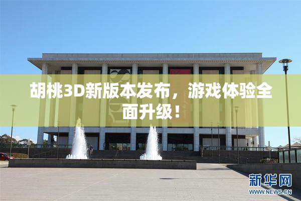 胡桃3D新版本发布，游戏体验全面升级！