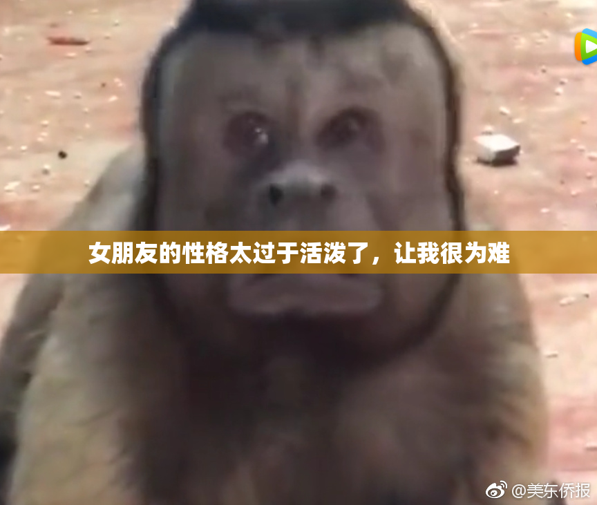 女朋友的性格太过于活泼了，让我很为难