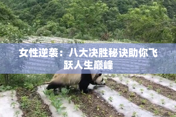 女性逆袭：八大决胜秘诀助你飞跃人生巅峰