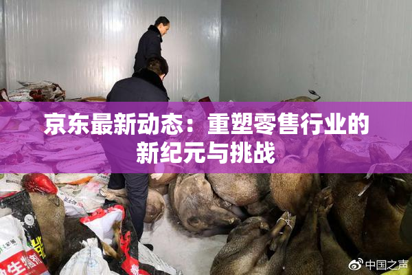 京东最新动态：重塑零售行业的新纪元与挑战