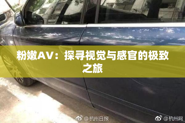 粉嫩AV：探寻视觉与感官的极致之旅