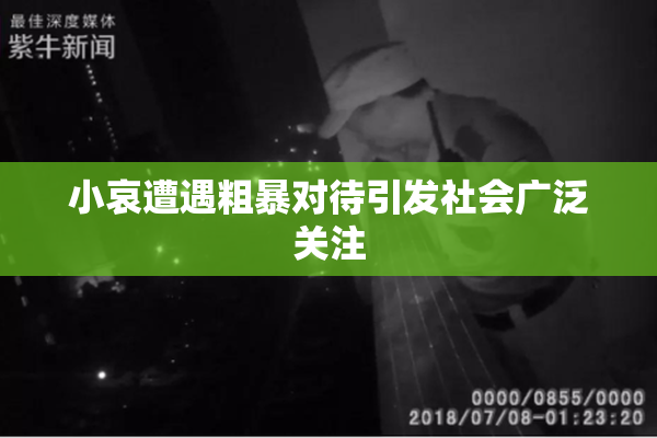小哀遭遇粗暴对待引发社会广泛关注