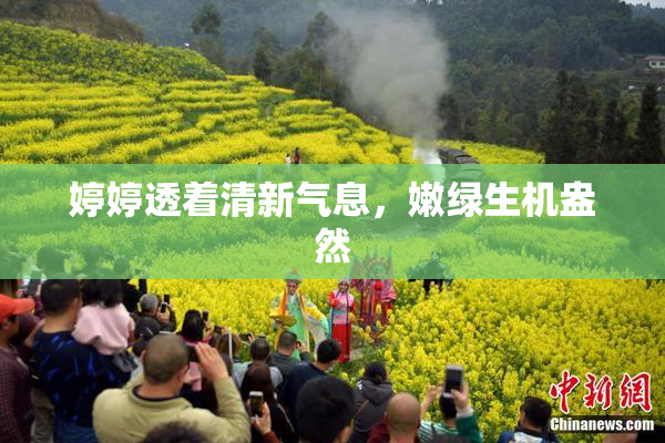 婷婷透着清新气息，嫩绿生机盎然