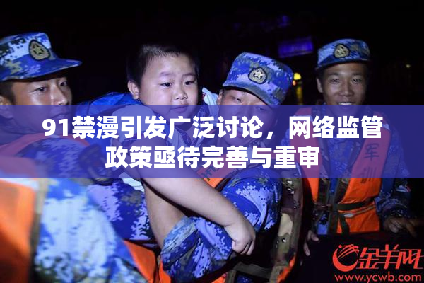 91禁漫引发广泛讨论，网络监管政策亟待完善与重审