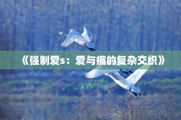 《强制爱s：爱与痛的复杂交织》